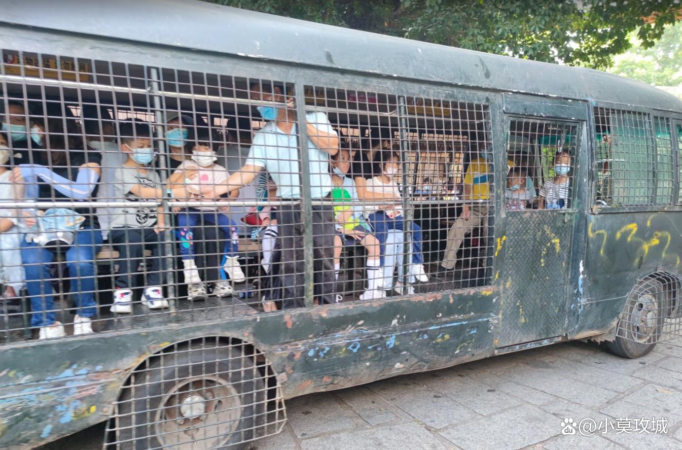 北京野生动物园猛兽体验喂肉,深圳野生动物园猛兽投喂