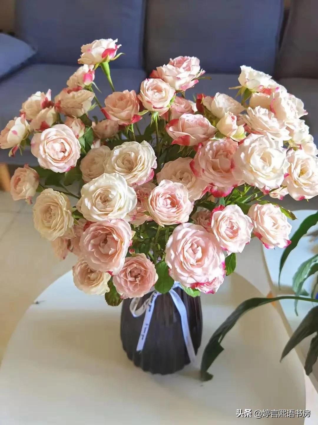 情人节有约,情人节听一首好歌