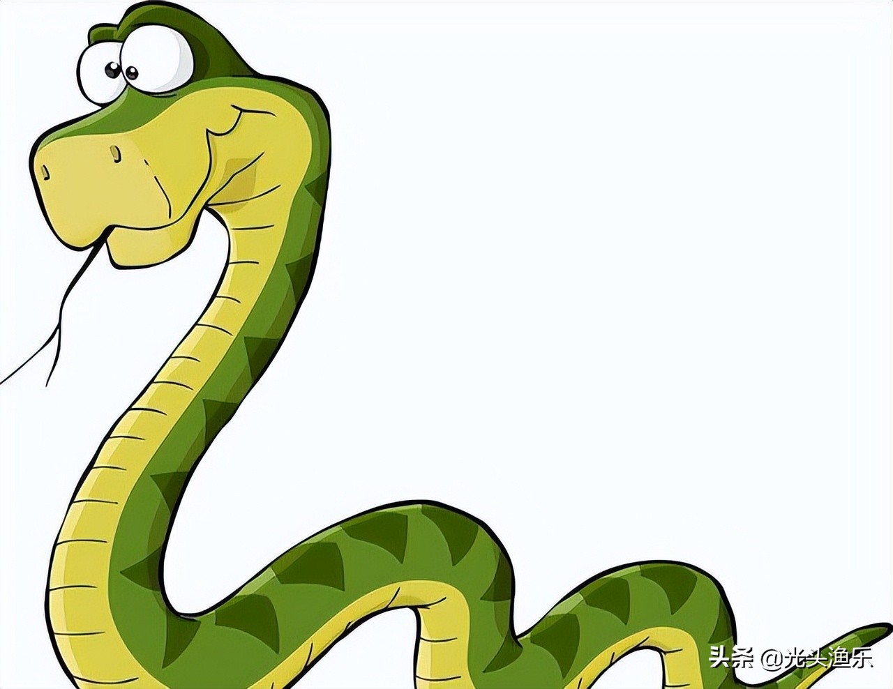 蚺蛇和巨蟒谁大,为什么蟒蛇有的又叫蚺