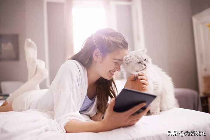 新手养宠物要注意些什么,饲养宠物的好处和坏处