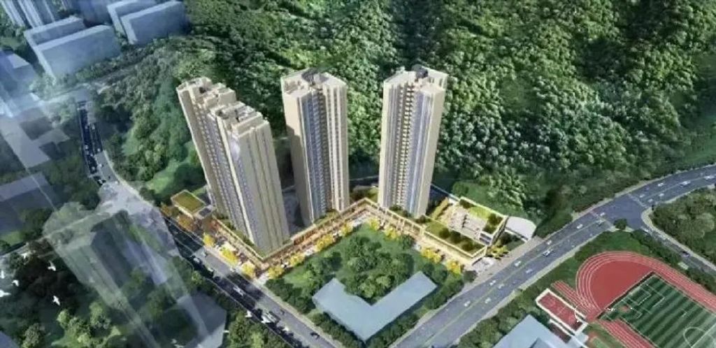 坂田十大学区房,深圳龙岗坂田新盘