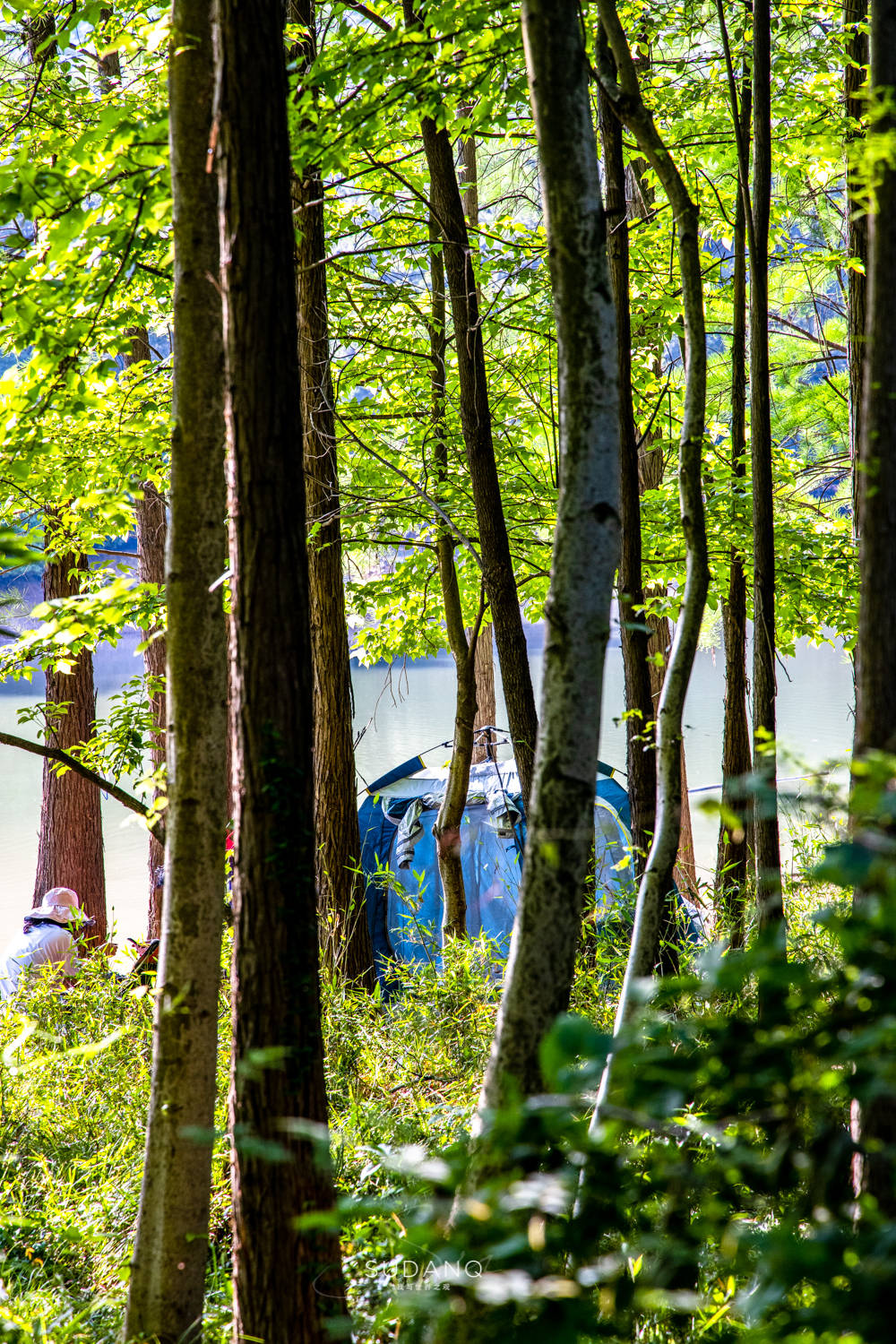 武汉历史上最悠久的地方,武汉历史底蕴