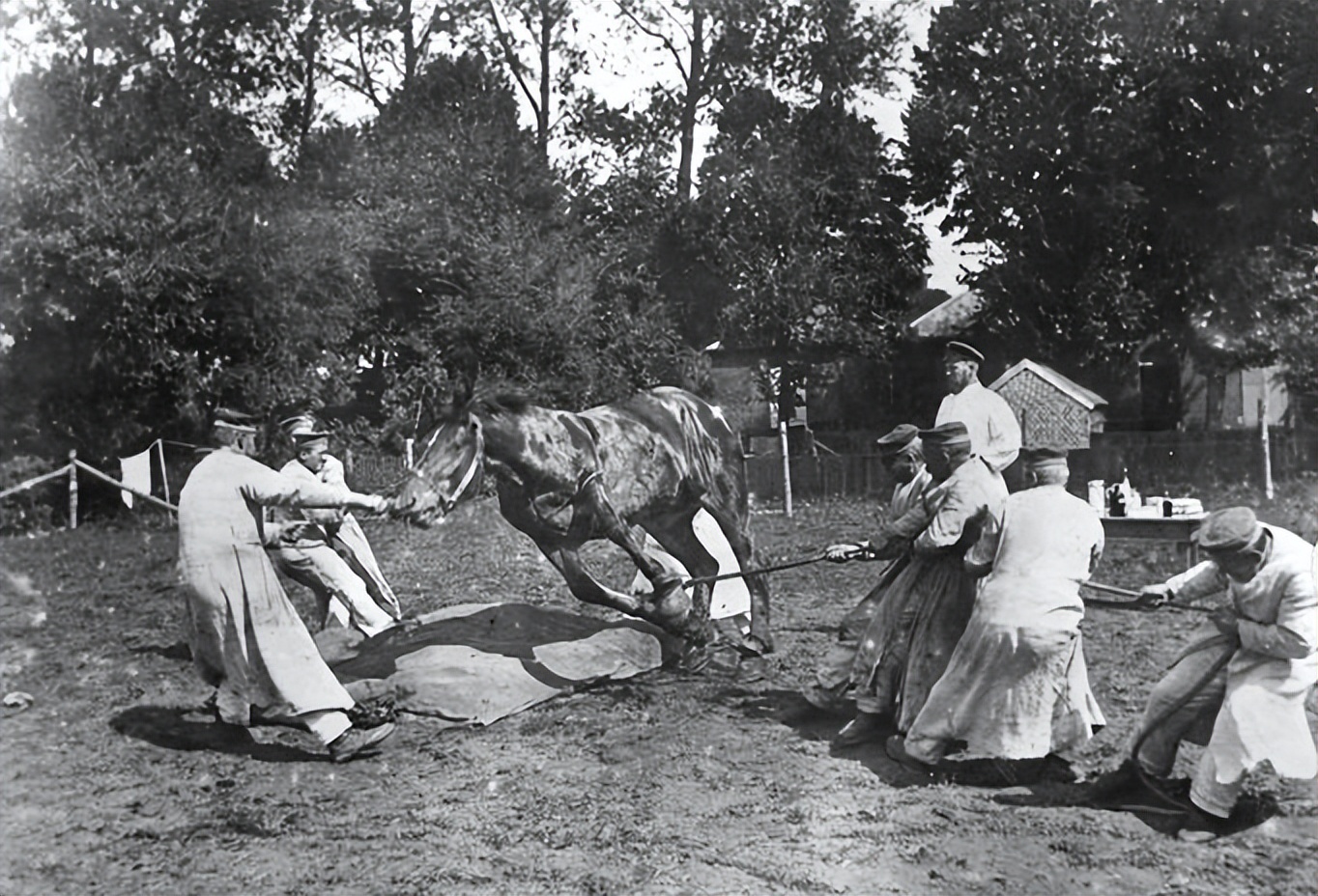 回顾美国最新战争,美国参加一战的历史事件是什么