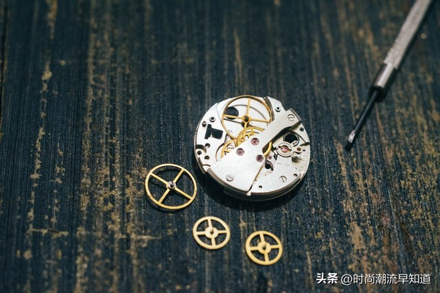 探究梅花的过程记录,梅花和天梭表哪个档次高