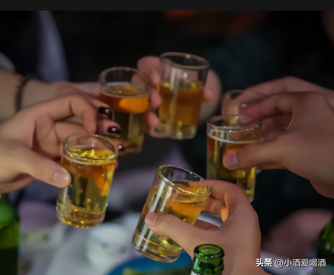 三款老啤酒,中国公认最好喝的五款原浆啤酒