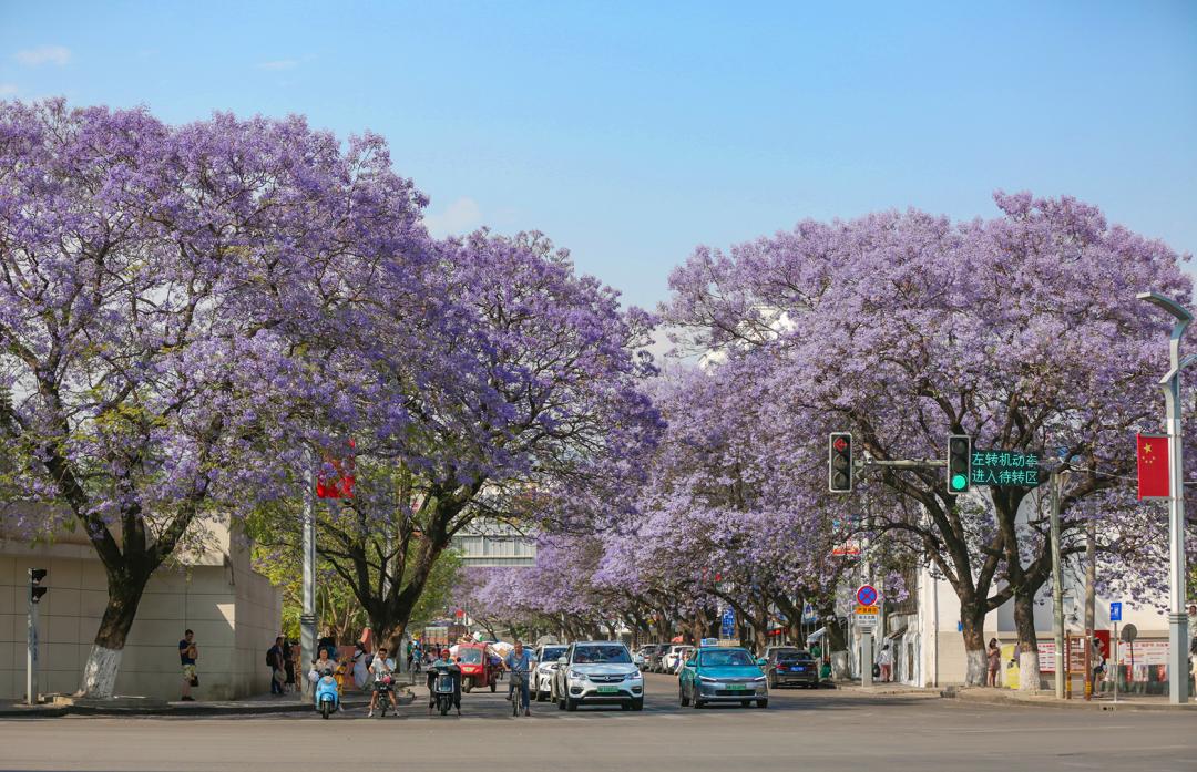 西昌文旅 (四川西昌文旅)
