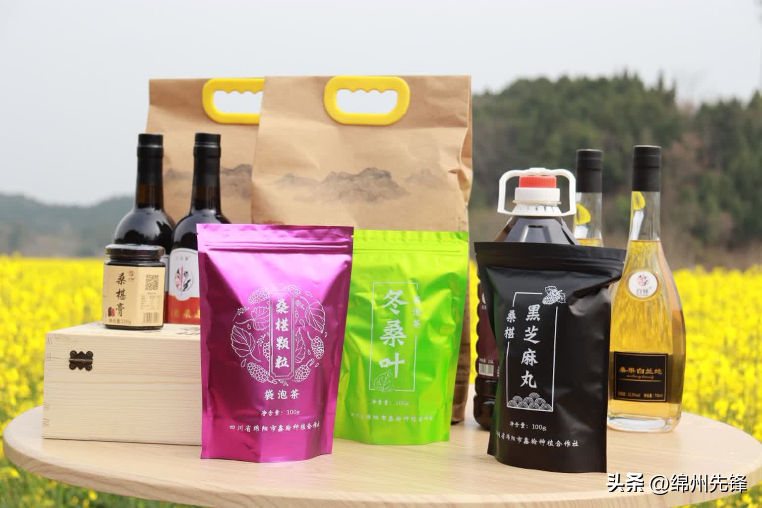 绵阳特色乡村振兴之路,绵阳乡村振兴示范区