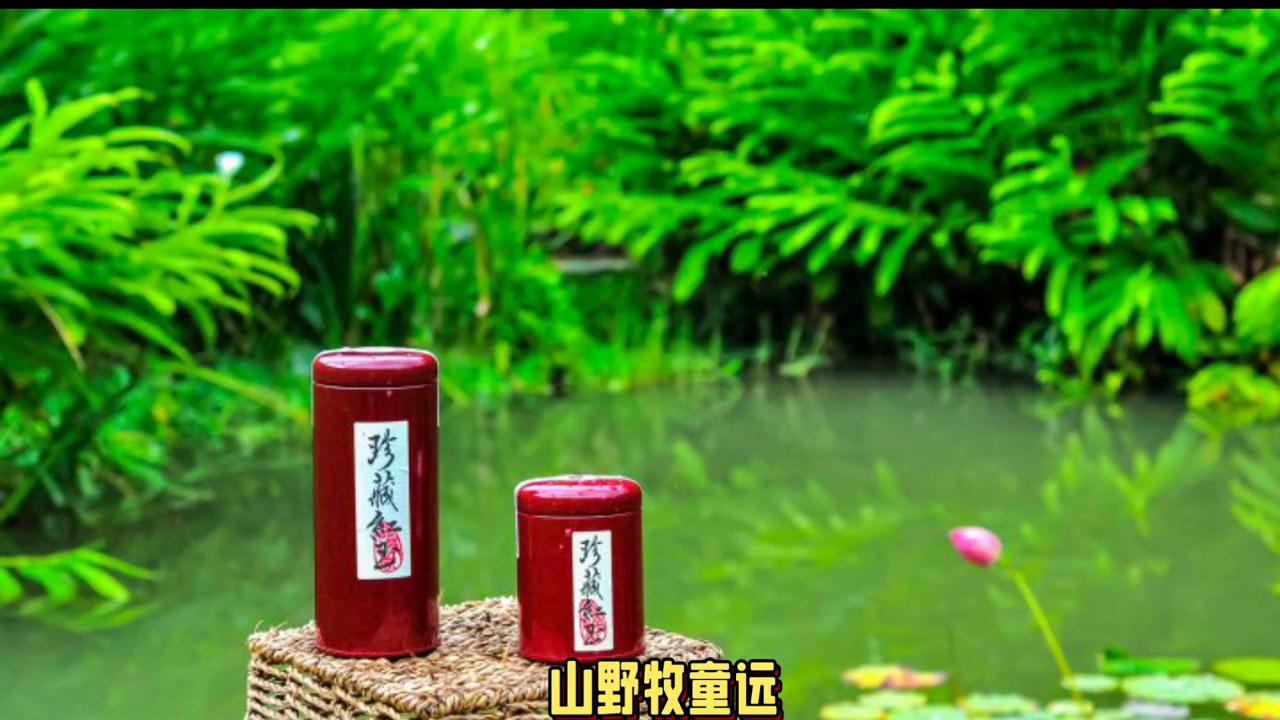 台茶18号红玉的价格,台茶18号红茶多少钱