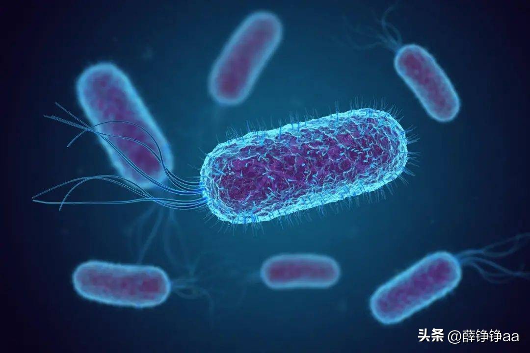 怎样辨别细菌肠胃炎,拉曼光谱法在药品检测中的应用