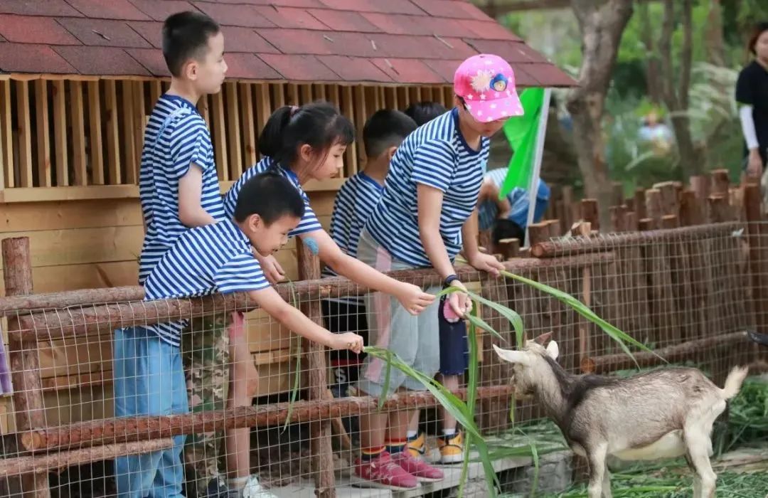 鼓浪屿可以当天预订船票攻略 (鼓浪屿还有免费的船票吗)