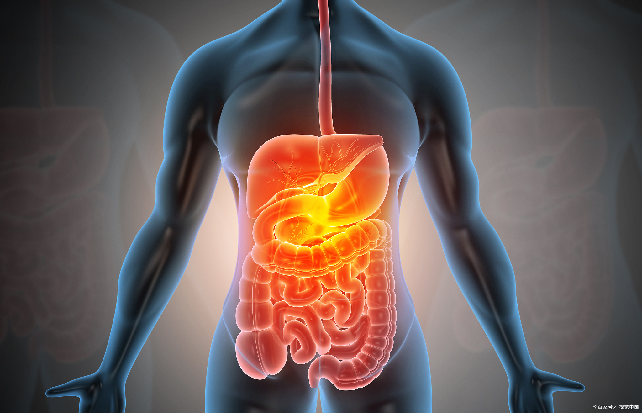 千古名方调理脾胃增强免疫力,脾胃不好百病生一味药