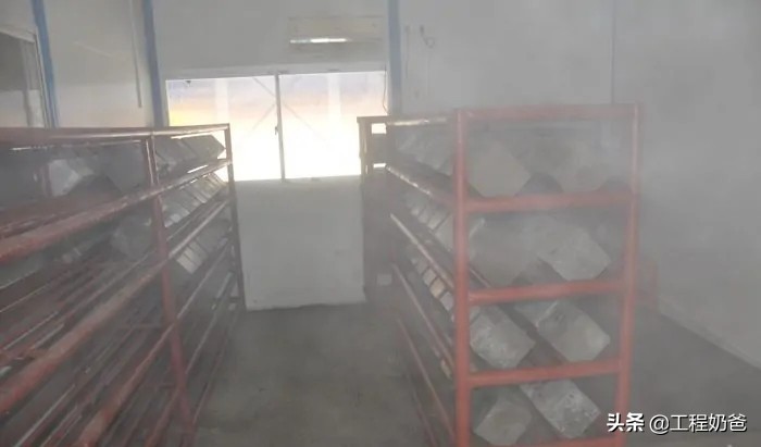 21人的各怀鬼胎，造成直接经济损失5800万港币