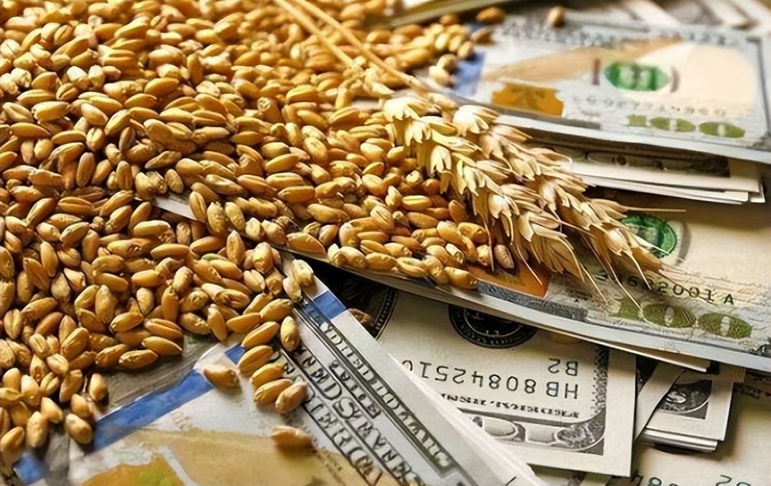 宁愿“亏本”，美国仍要向中国出口粮食，背后到底有何“猫腻”？