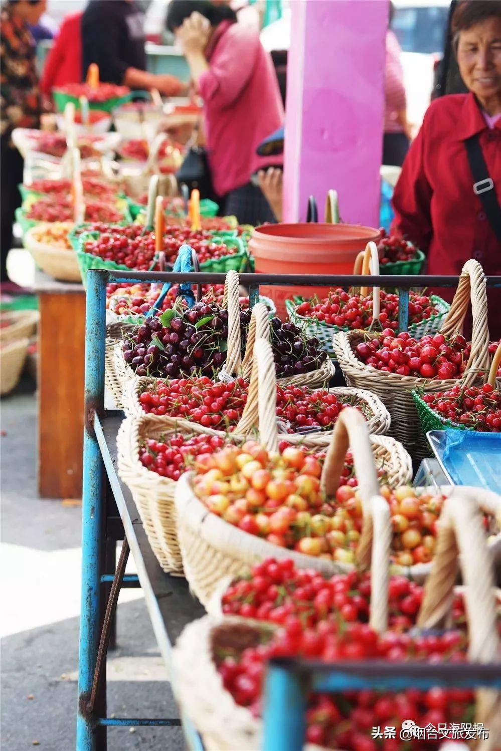 山东海阳十大美丽城市,海阳市全国排名