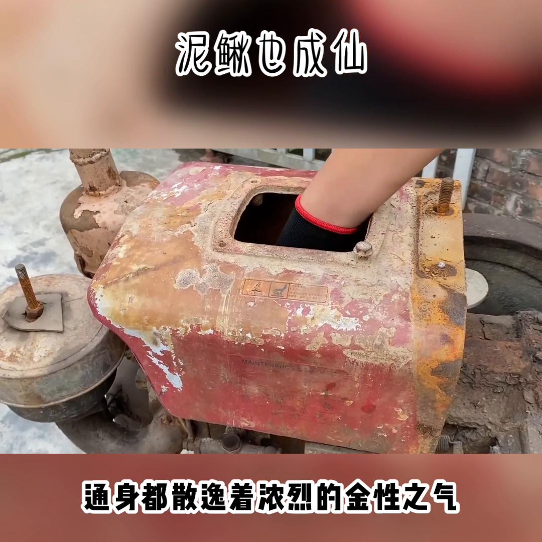 泥鳅也成仙#宝藏小说