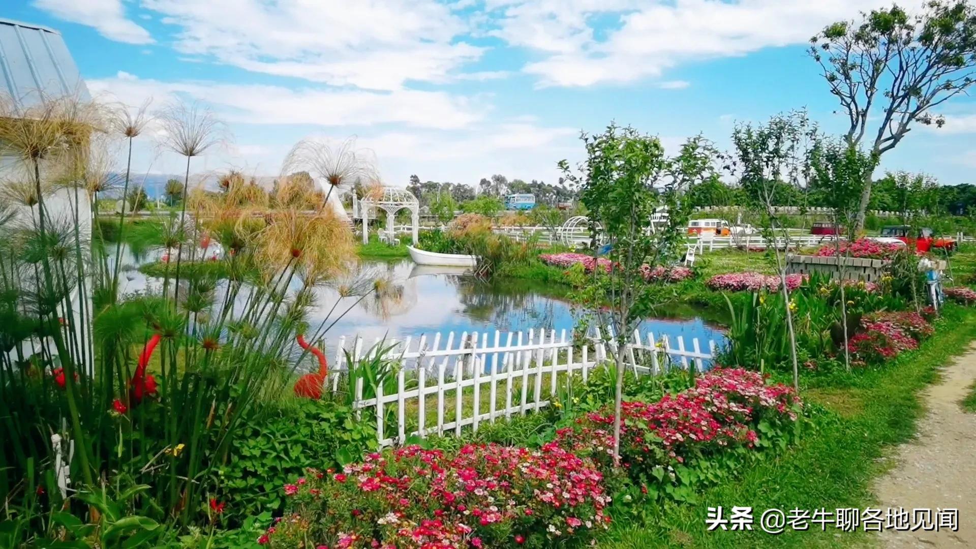 云南大理古城，月租客栈一个月后的感受，消磨斗志让人慵懒的城市