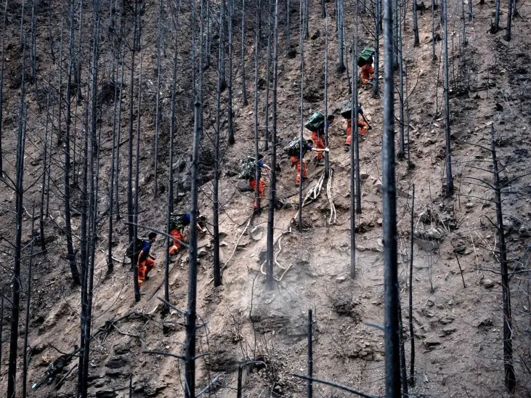 10秒，我的兄弟在火场牺牲……踩着战友搭成的人梯送他下山，我们想好了遗言