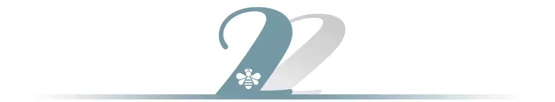 股东未完全出资，为何公司董事需向债权人承担490万美元的责任？