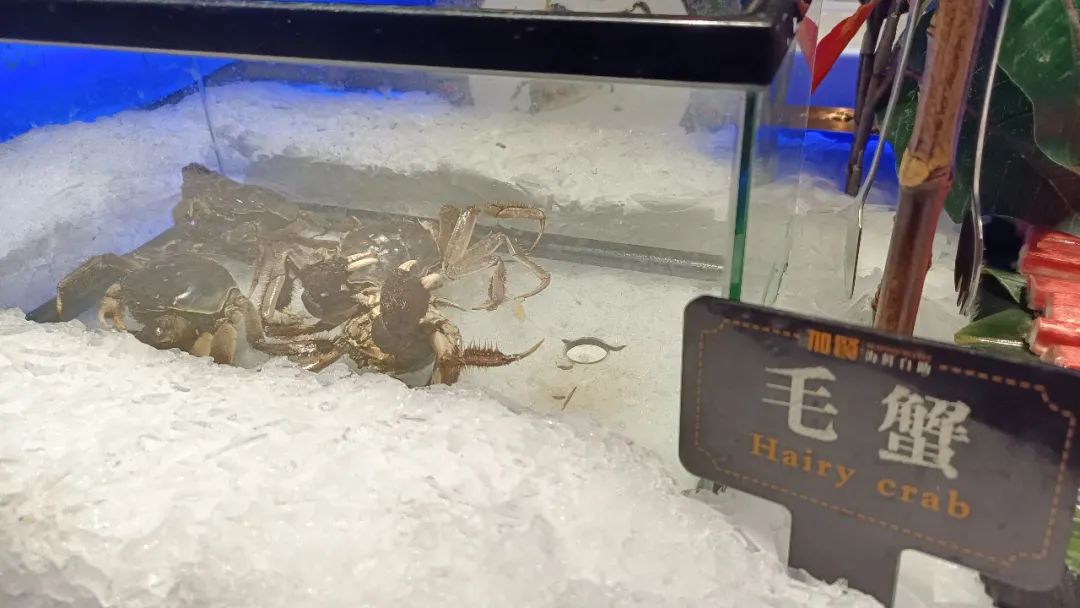 璋堣皥鍦ㄥ帵闂ㄥ悆鐨勫嚑椤块キ,鍘﹂棬鏈変粈涔堥キ