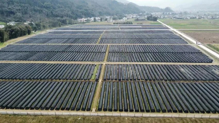 巴山蜀水美图,美图美景精彩绽放