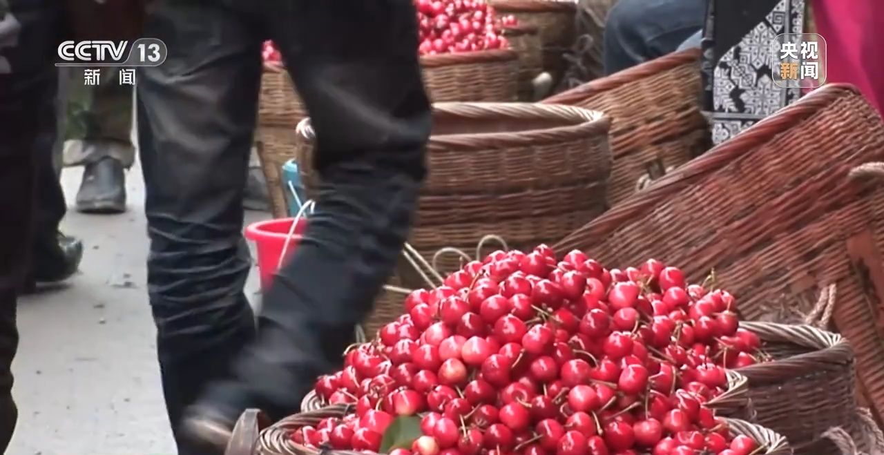 汶川大地震活下来卖樱桃的男孩,2008汶川地震活下来的人