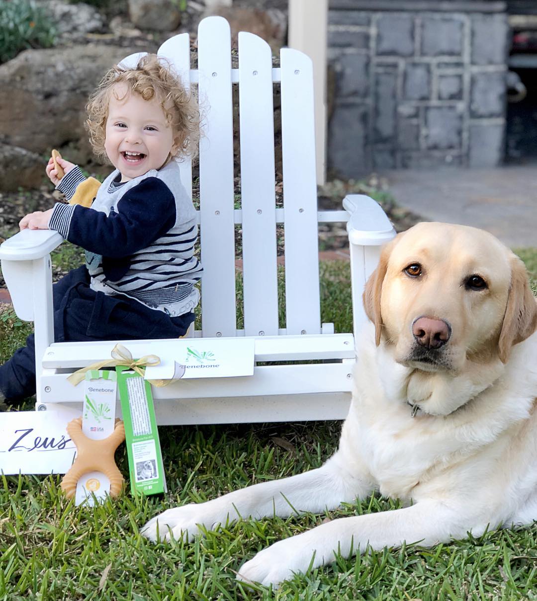 家里有小孩的适合养什么品种狗狗,最适合有小孩家庭养的狗狗