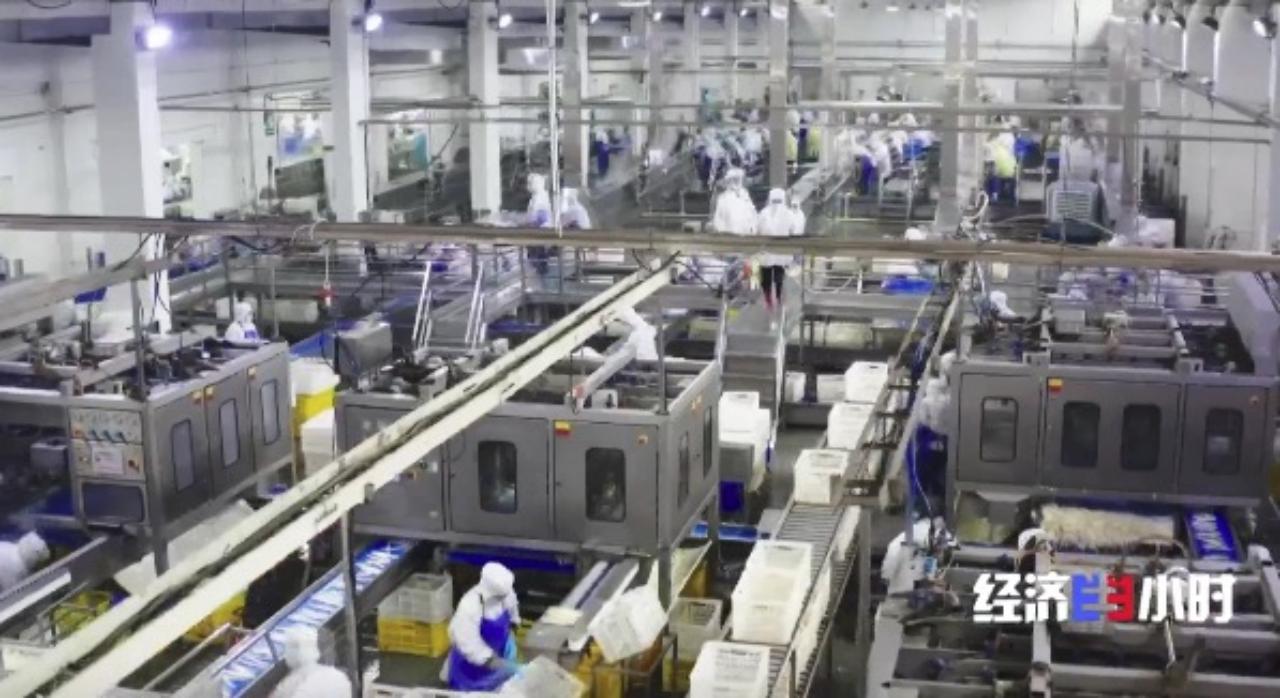 “一根芦笋卖三国”！卖汉服的曹县跨国卖“中国年货”，有企业年出口总货值达8亿元