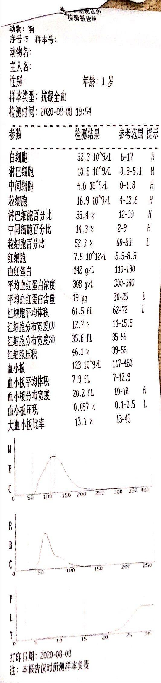 春季疾病需警惕！让宠物远离子宫蓄脓！症状一览及治疗方式