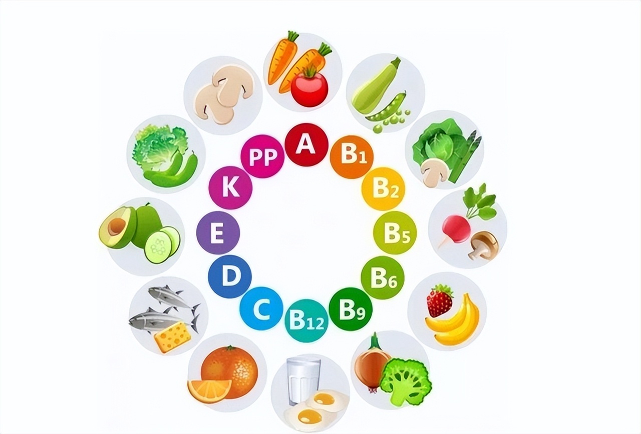 自家食用狗粮,推荐几款不掉毛的狗粮