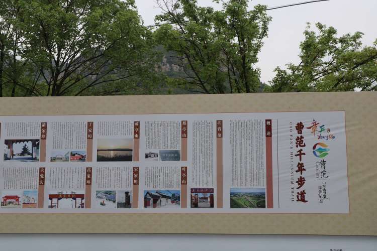 济南3-4月份赏花适合去哪里旅游,五一济南哪里好玩