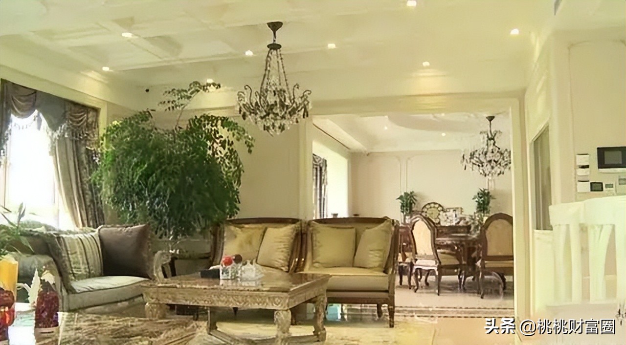 张庭夫妇96套房产被查封属实吗,张庭夫妇公司大楼96套房产被查封