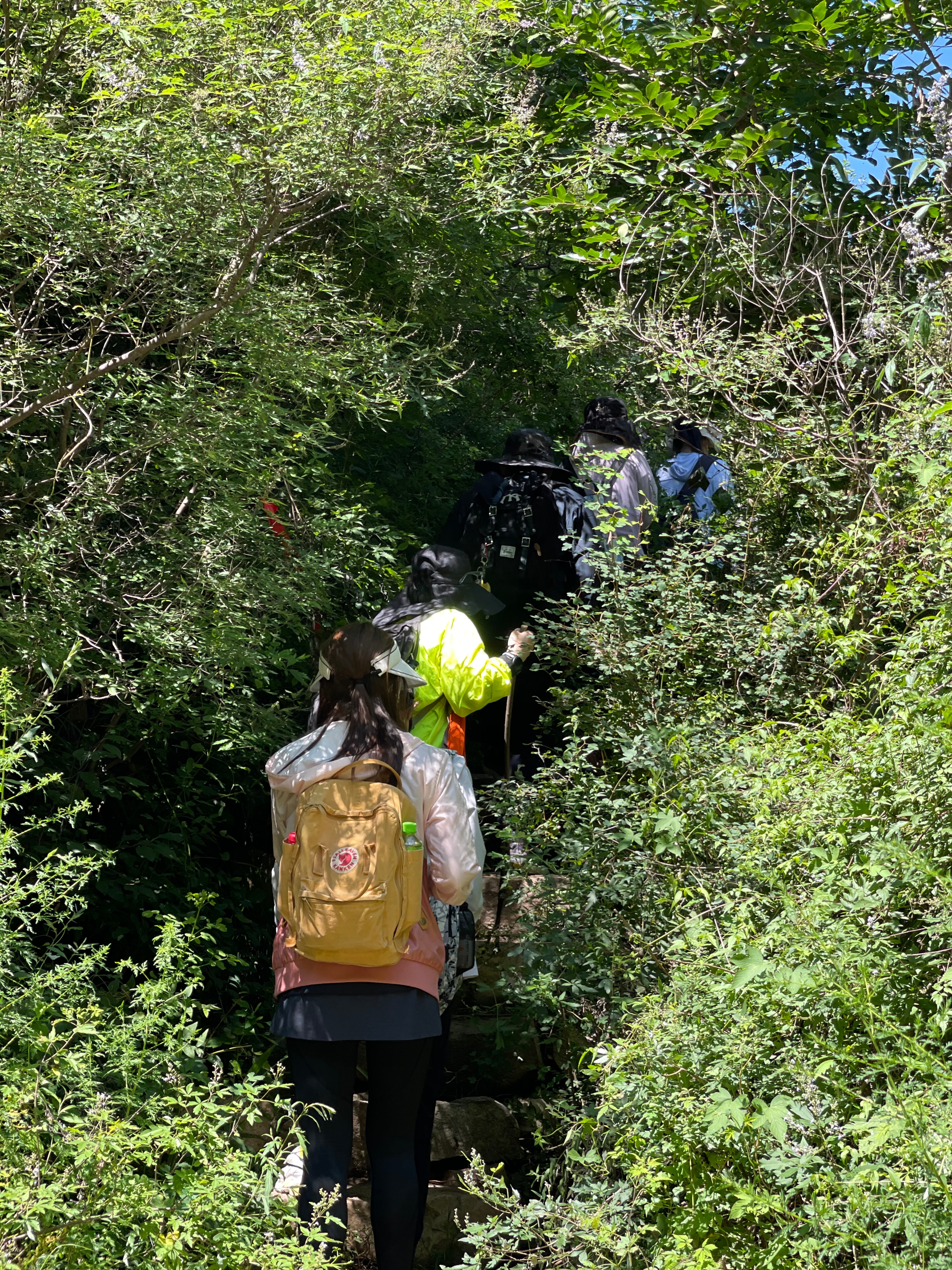 冬天天津周边徒步路线推荐,天津徒步旅游线路