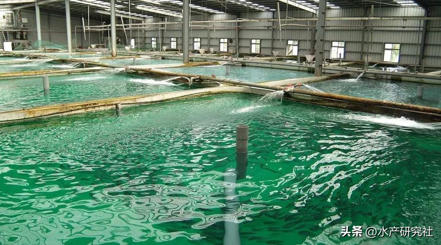 寄生虫病的预防知识,寄生虫防范