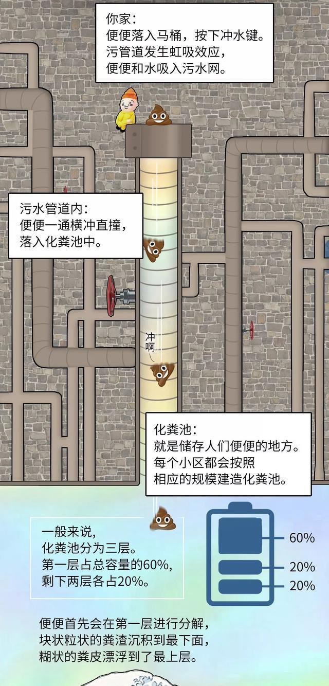 每天的屎尿垃圾都去哪了,我们每天上厕所的粪便都去了哪里