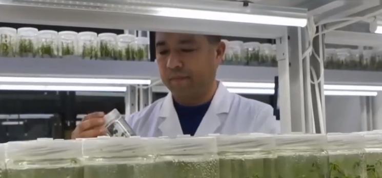 大叔研究彩票十年,大叔盲盒