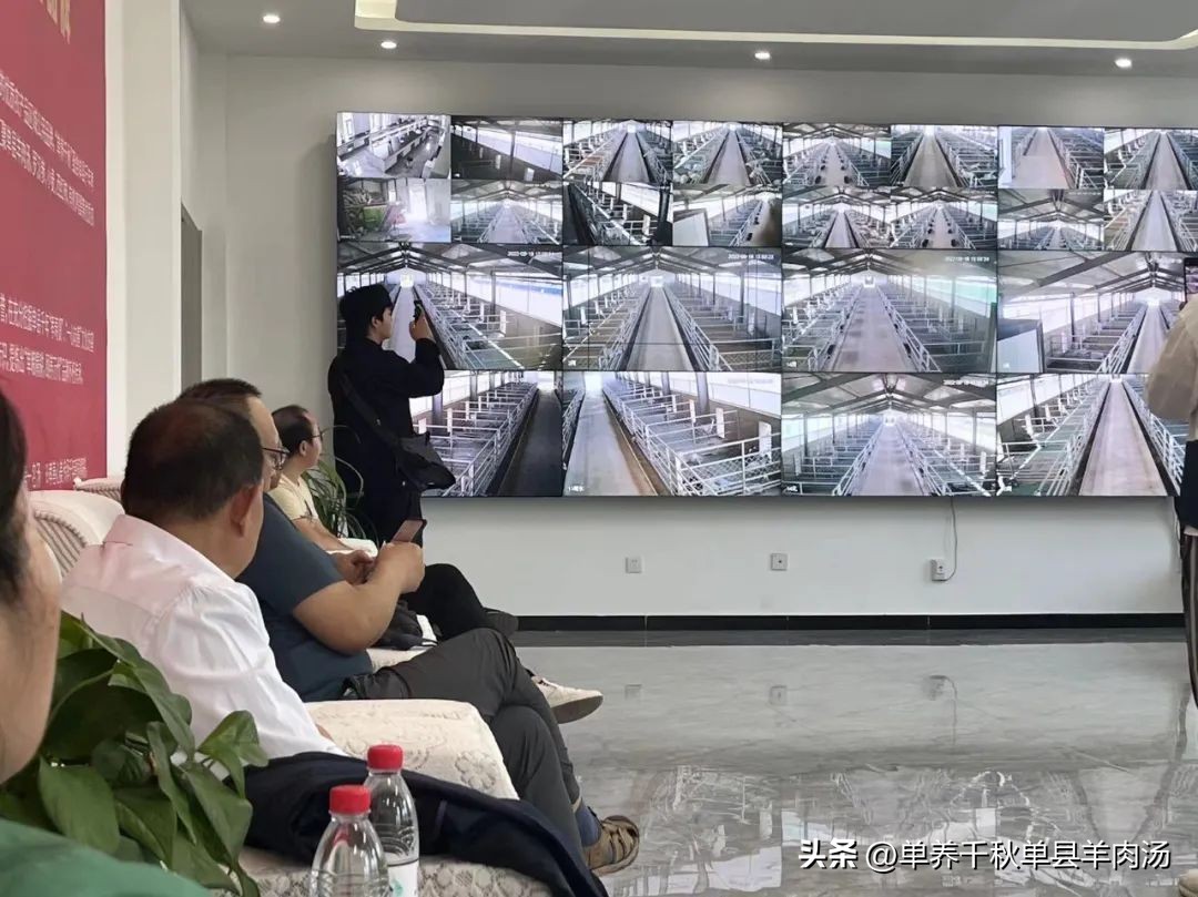 加盟签约合作现场,加盟店考察签约