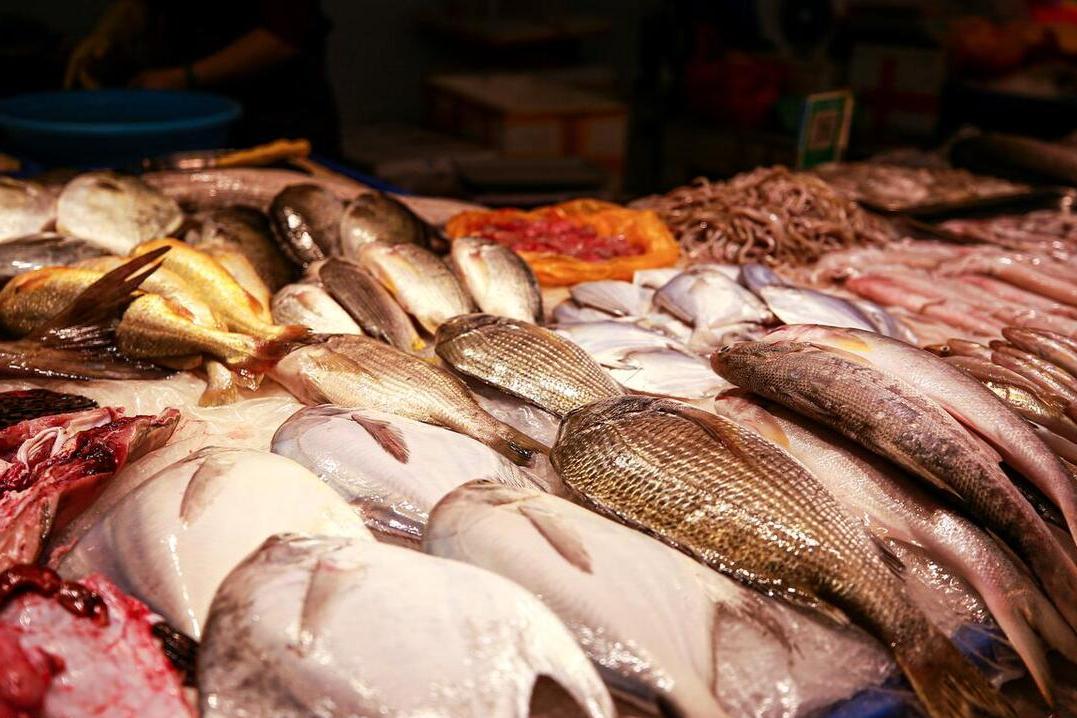 看到这五种鱼千万别买,这3种鱼最好别买