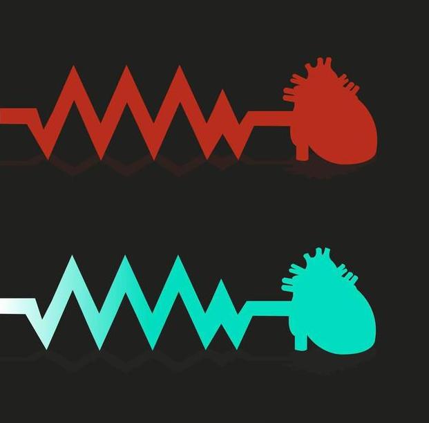 心跳快慢与寿命有关吗,心跳快慢会影响人的寿命