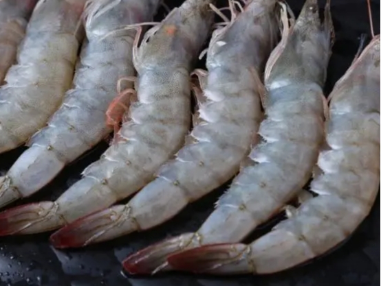 买大虾挑什么样的好,买大虾的4种方法