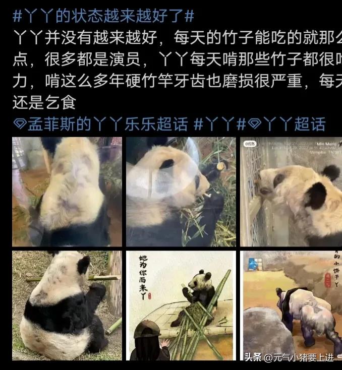 丫丫被娘家人照顾得很好,丫丫到中国后看到娘家人的反应