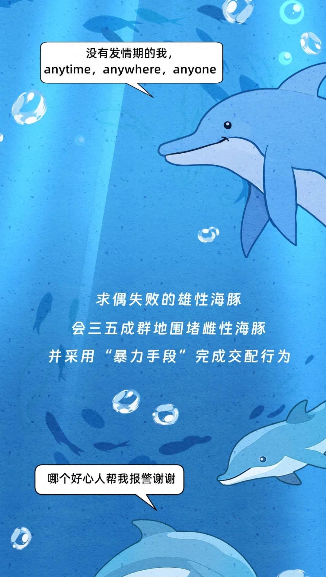 动物交配行为鉴赏，真的触碰到了我的知识盲区（漫画）