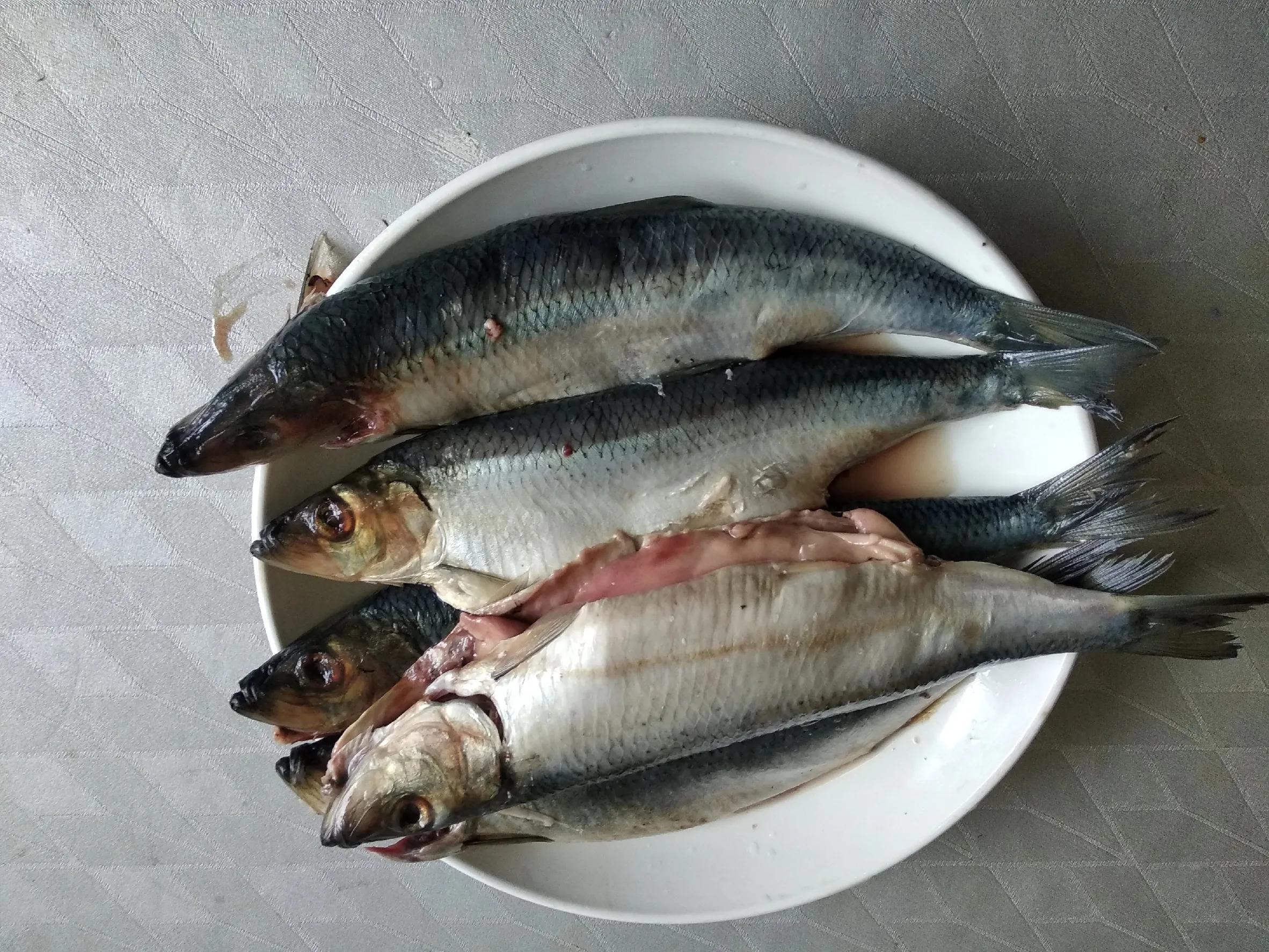 夏天吃海鱼，内行专挑这5种，肉鲜不腥无法养殖，摊主都夸是行家