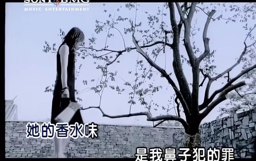 曾经火得一塌糊涂,曾经火到烂大街歌曲