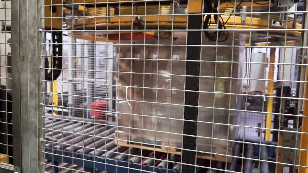 广东老太太捡了一只猫,广东老太上山捡了只小猫