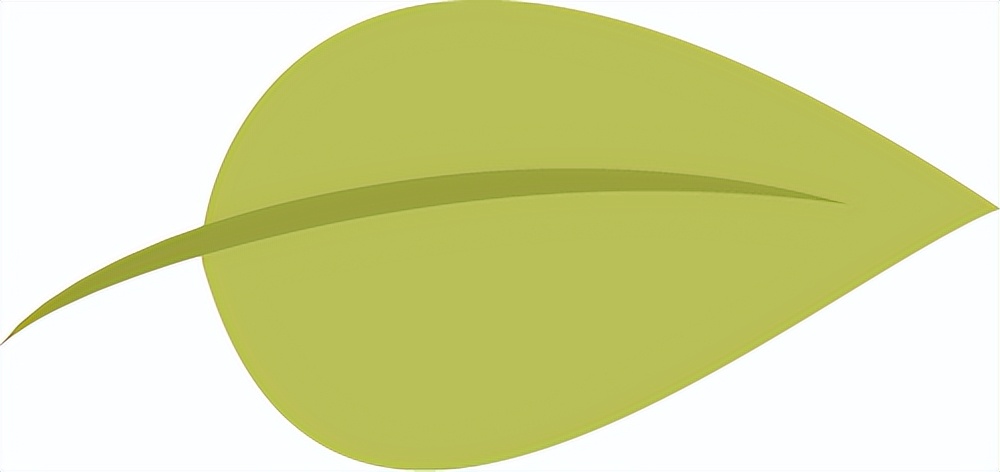 武夷山高尔夫球比赛,武夷山太伟高尔夫球会