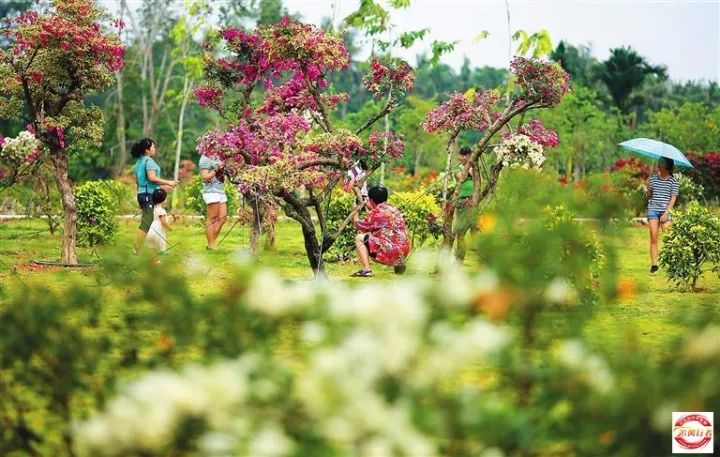 初七出发海南,海南岛7日自驾游