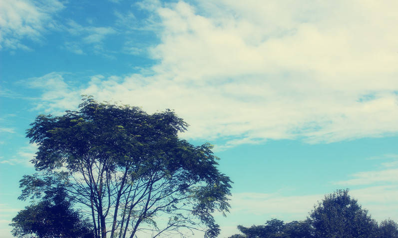 当前就业前景比较好的大专专业,未来大专十大专业就业前景好