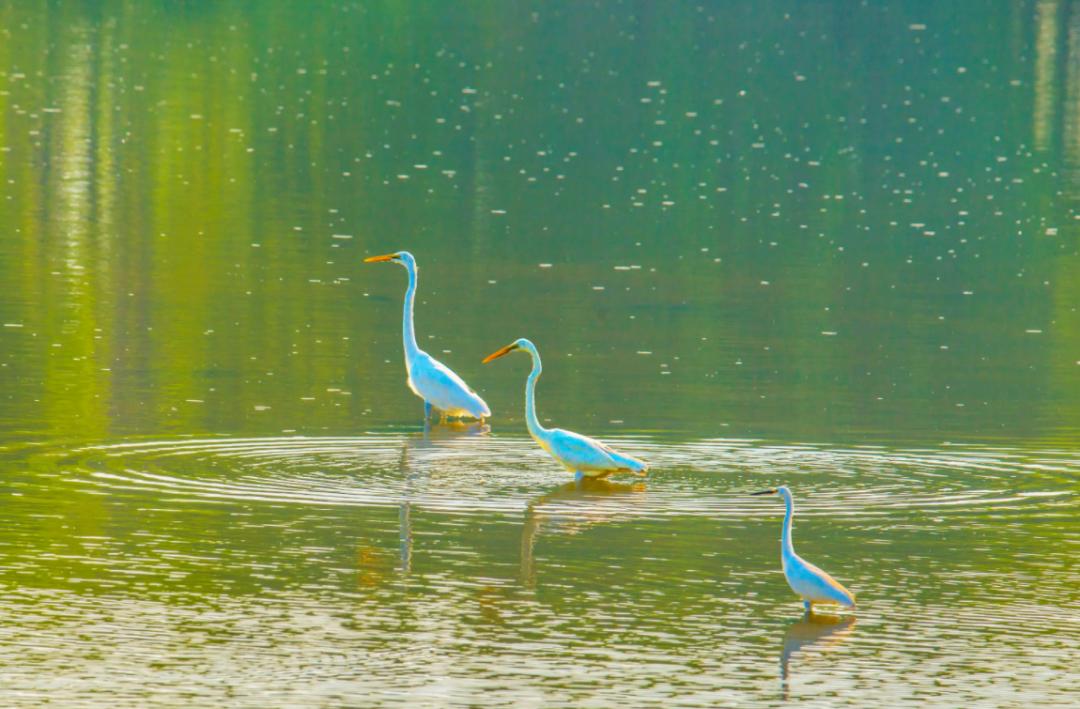 三人行|​一醉管他寒与暑醉里扁舟烟水处（原创诗词唱和15首）