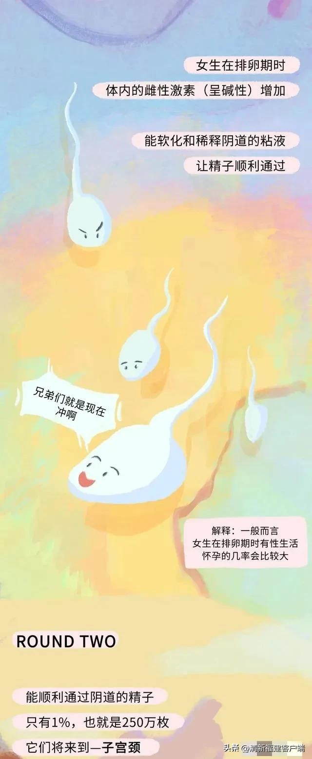 漫画专题丨这就是精子进入女性体内的全过程,太神奇了