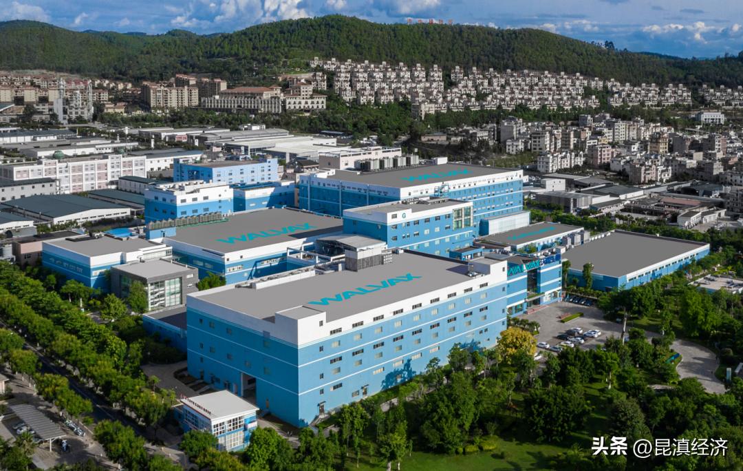 云南红塔集团市值,云南建投集团市值